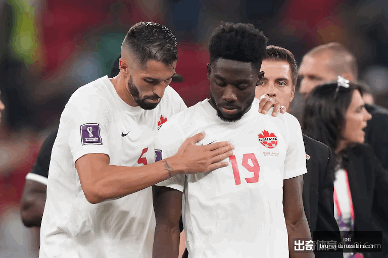 世界杯,世界杯2023,足球盛事,世界杯,世界杯2023,足球盛事,世界杯赛程,世界杯球队,世界杯新闻,世界杯直播,世界杯冠军
