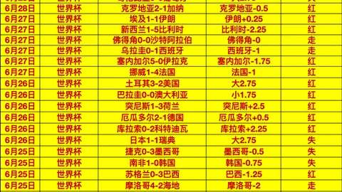 世界杯，足球盛事， 112010